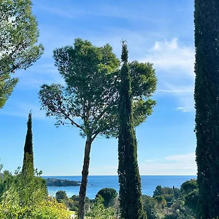 Beautiful With Ac And Swimming Pool